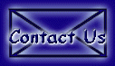 Contact Diesel Custom Software Development Team